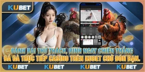 Đánh bại thử thách, rinh ngay chiến thắng: Đá gà trực tiếp Casino trên Kubet chờ đón bạn.