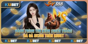 Hành trình tìm kiếm chiến thắng: Đá Gà SV388 trên Kubet