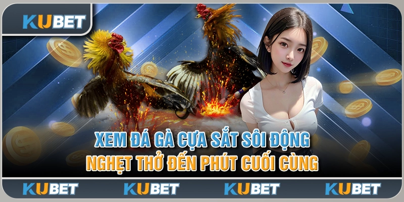 đá gà cựa sắt